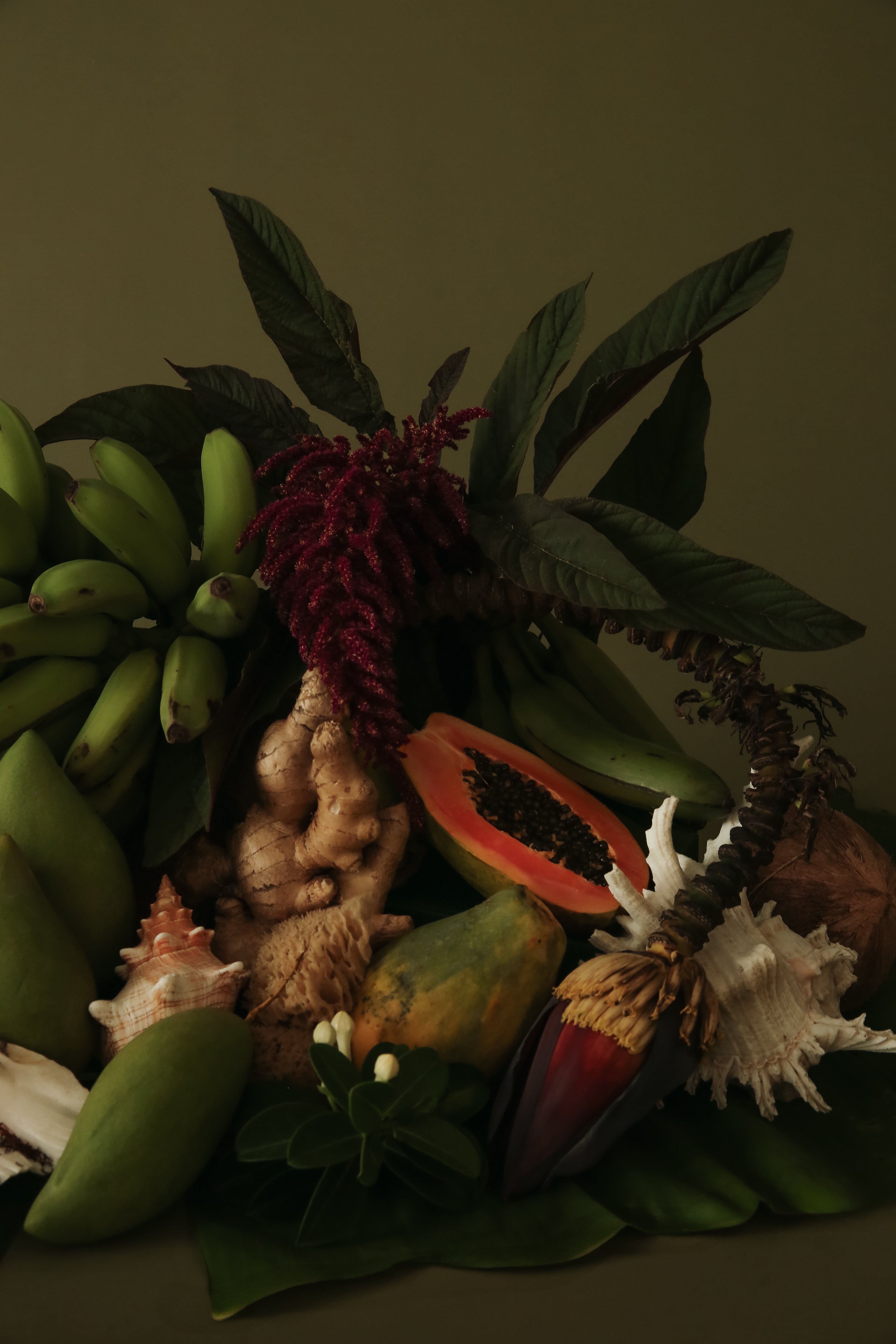 Decorative arrangement with bananas, papayas, and seashells on a dark background