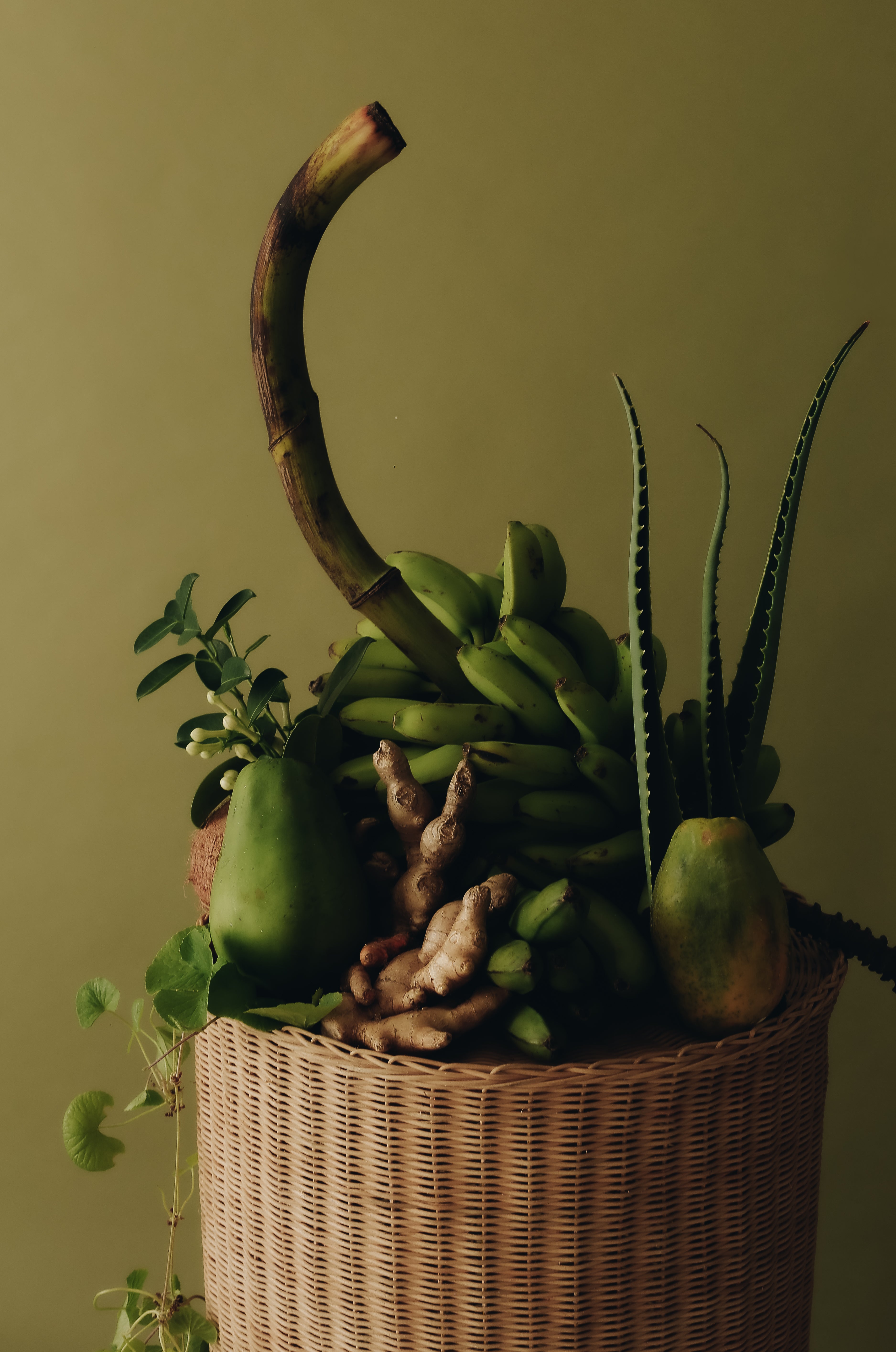 Green Ingredients sitting on rattan plinth on green background.