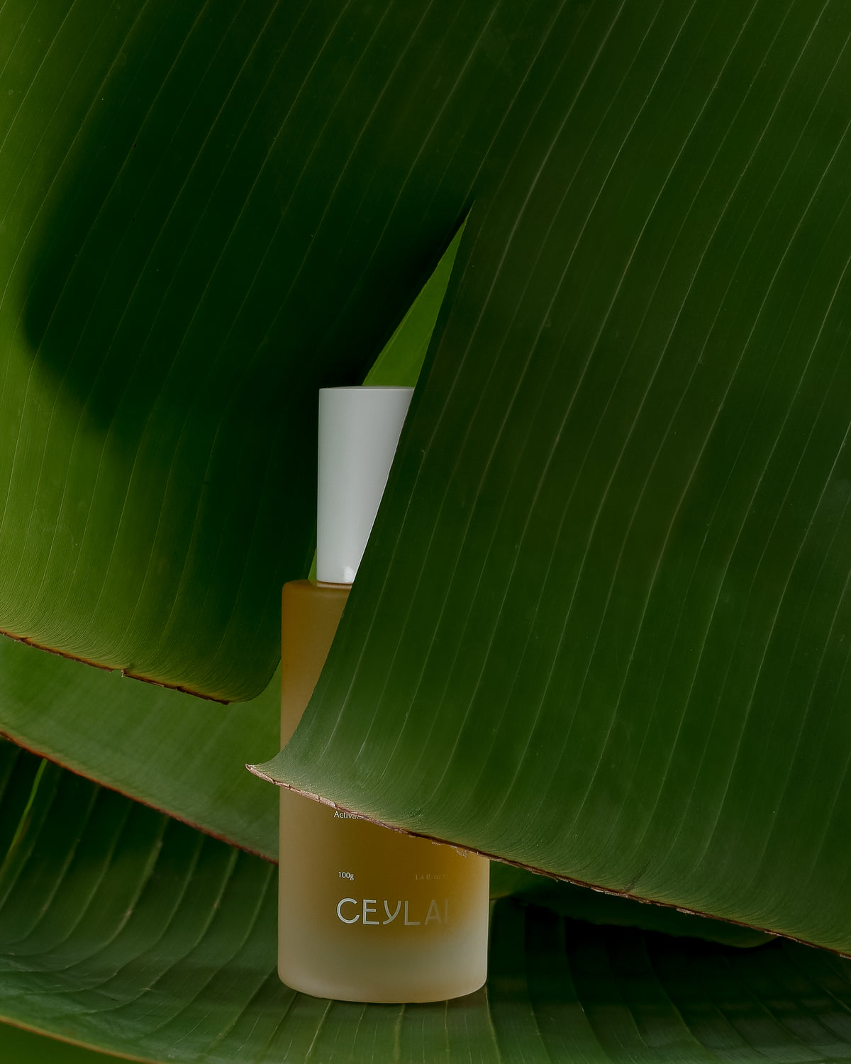 Ceylai Rejuvenating Bioactive Body Oil hiding behind banana leaf