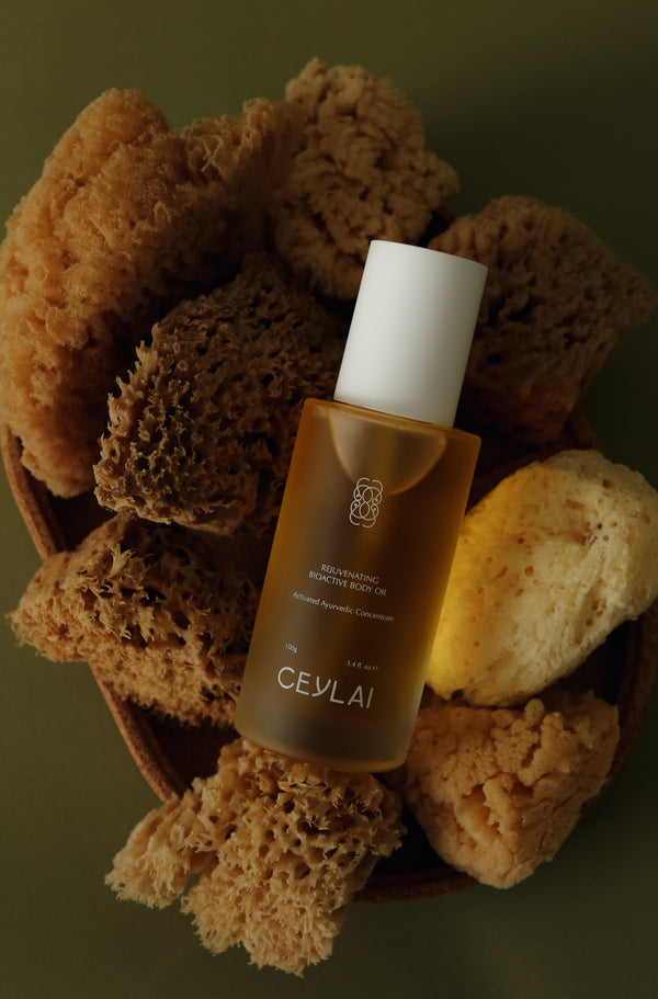 Ceylai Rejuvenating Bioactive Body Oil laying on bead of sea sponges - A barrier-first, microbiome-conscious body oil rooted in Ayurvedic wisdom and guided by microbiome skin science.

A sensorial, fast-absorbing body oil designed to restore skin integrity, resilience, and natural radiance without heaviness or residue. Formulated with a considered selection of Ayurvedic plant oils and bioactive extracts, CEYLAI Body Oil supports the skin barrier and long-term skin health through nourishment.