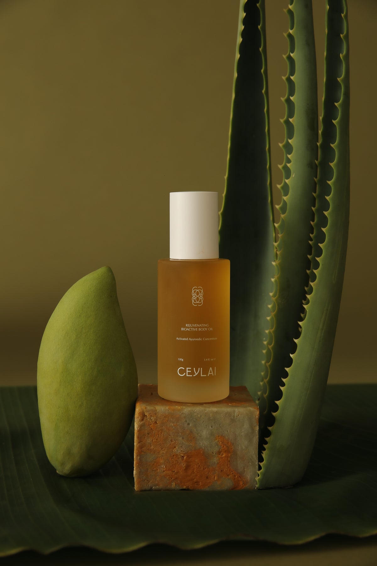 Ceylai Rejuvenating Body Oil Lifestyle Image with Aloe and Mango.
CEYLAI Rejuvenating Bioactive Body Oil
A barrier-first, microbiome-conscious body oil rooted in Ayurvedic wisdom and guided by microbiome skin science.
A sensorial, fast-absorbing body oil designed to restore skin integrity, resilience, and natural radiance without heaviness or residue.Formulated with a considered selection of Ayurvedic plant oils and bioactive extracts, CEYLAI Body Oil supports the skin barrier and long-term skin health.