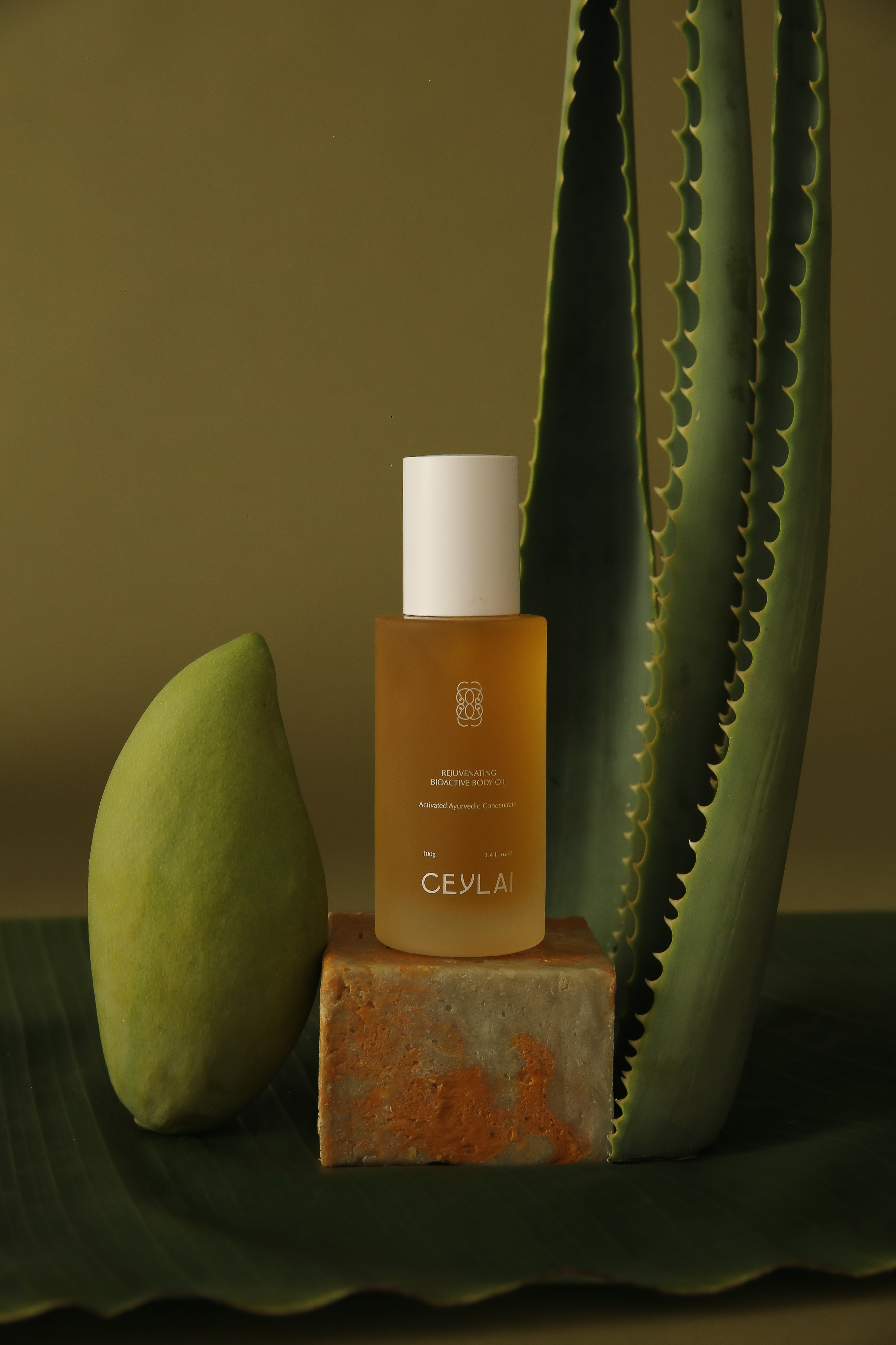 Ceylai Rejuvenating Body Oil Lifestyle Image with Aloe and Mango.
CEYLAI Rejuvenating Bioactive Body Oil
A barrier-first, microbiome-conscious body oil rooted in Ayurvedic wisdom and guided by microbiome skin science.
A sensorial, fast-absorbing body oil designed to restore skin integrity, resilience, and natural radiance without heaviness or residue.Formulated with a considered selection of Ayurvedic plant oils and bioactive extracts, CEYLAI Body Oil supports the skin barrier and long-term skin health.
