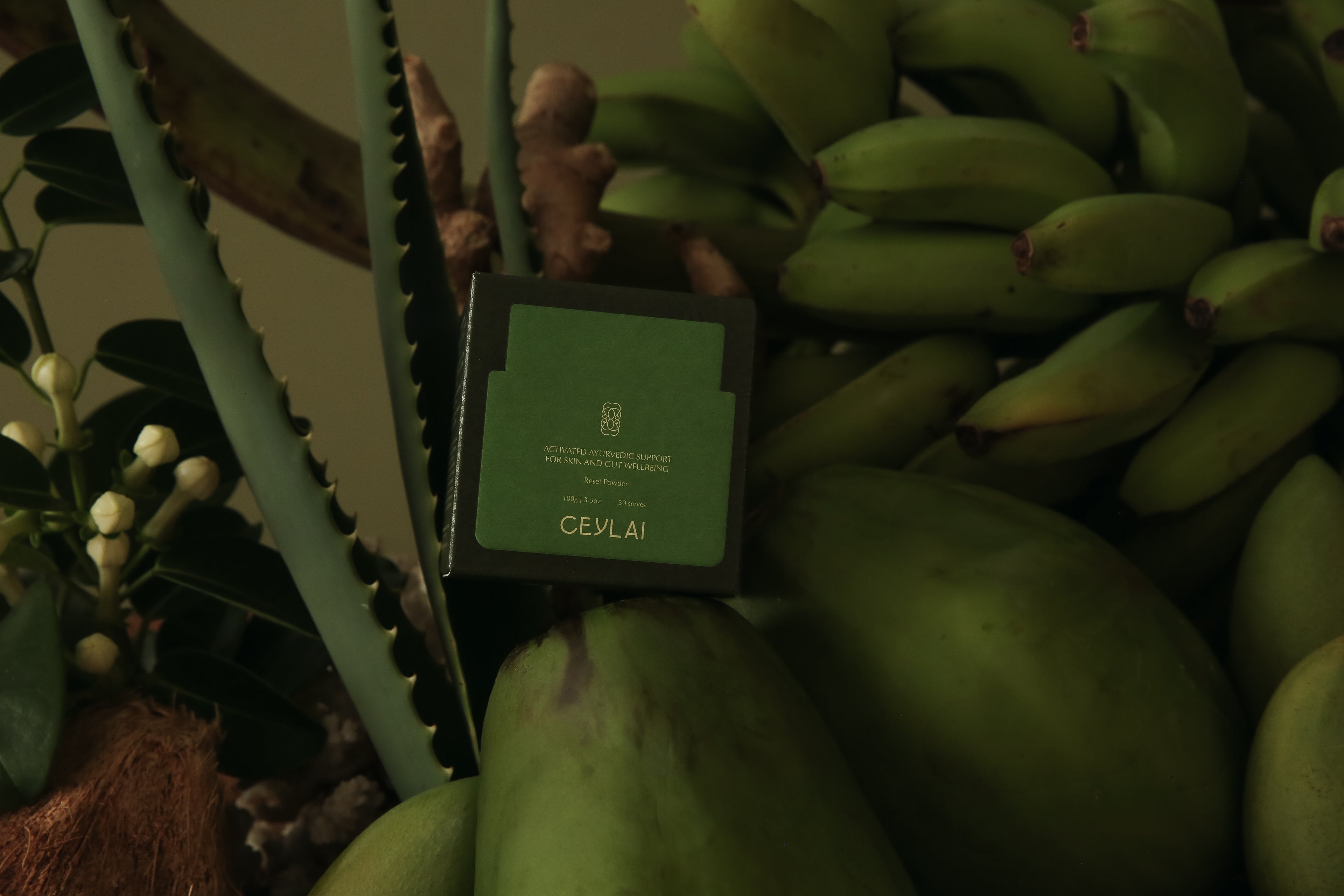 Ceylai Reset Powder.
A microbiome conscious internal ritual rooted in Ayurvedic wisdom and guided by modern microbiome science.

Designed to support gut balance, digestive harmony, and microbial resilience, CEYLAI Reset Powder works from within to help restore clarity, calm, and hydration throughout the body — including the skin.