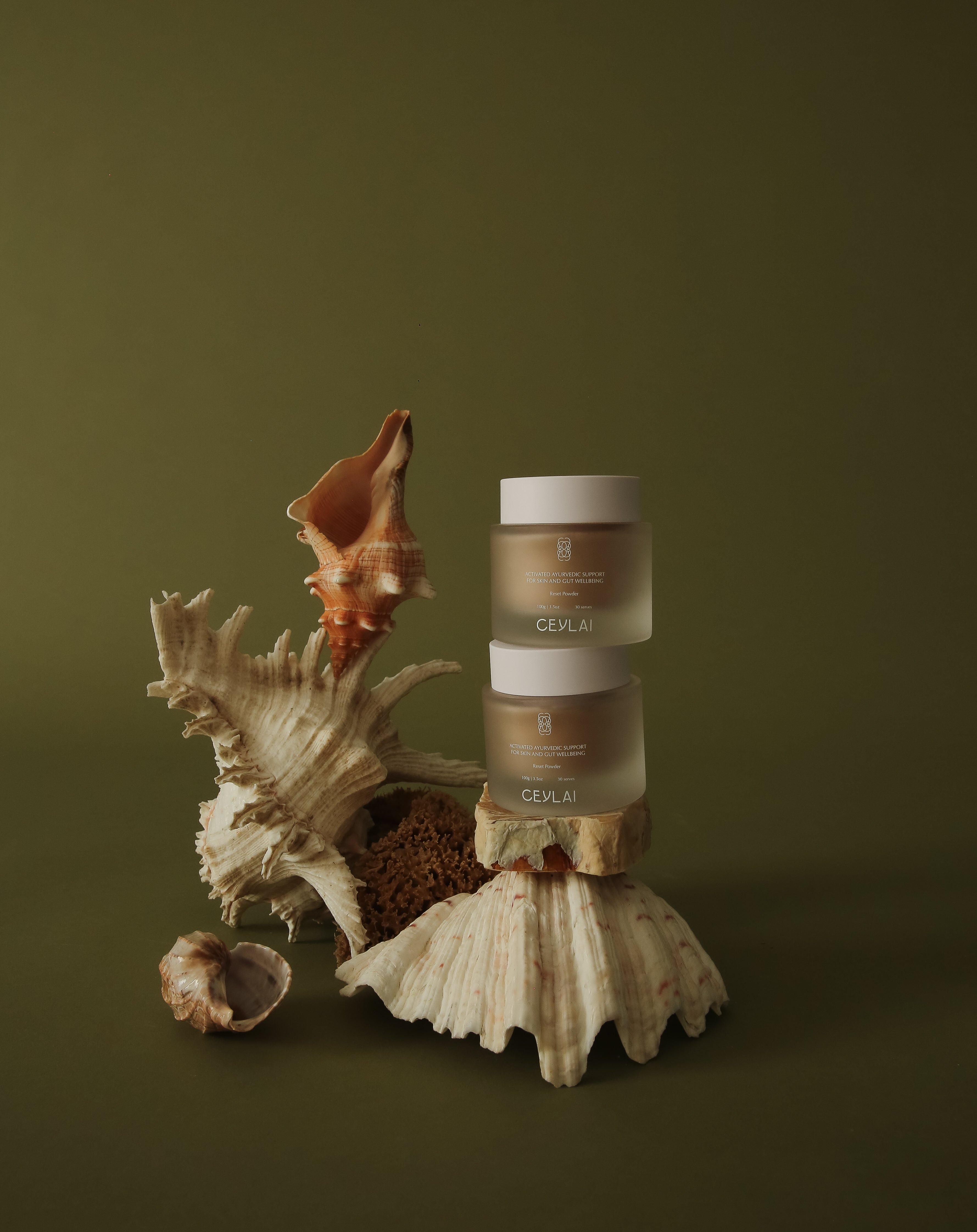 Ceylai Reset Powder stacked with sea shells
