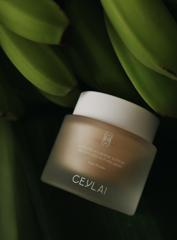 Ceylai reset powder jar with green leaves in the background.
A microbiome conscious internal ritual rooted in Ayurvedic wisdom and guided by modern microbiome science.

Designed to support gut balance, digestive harmony, and microbial resilience, CEYLAI Reset Powder works from within to help restore clarity, calm, and hydration throughout the body — including the skin.