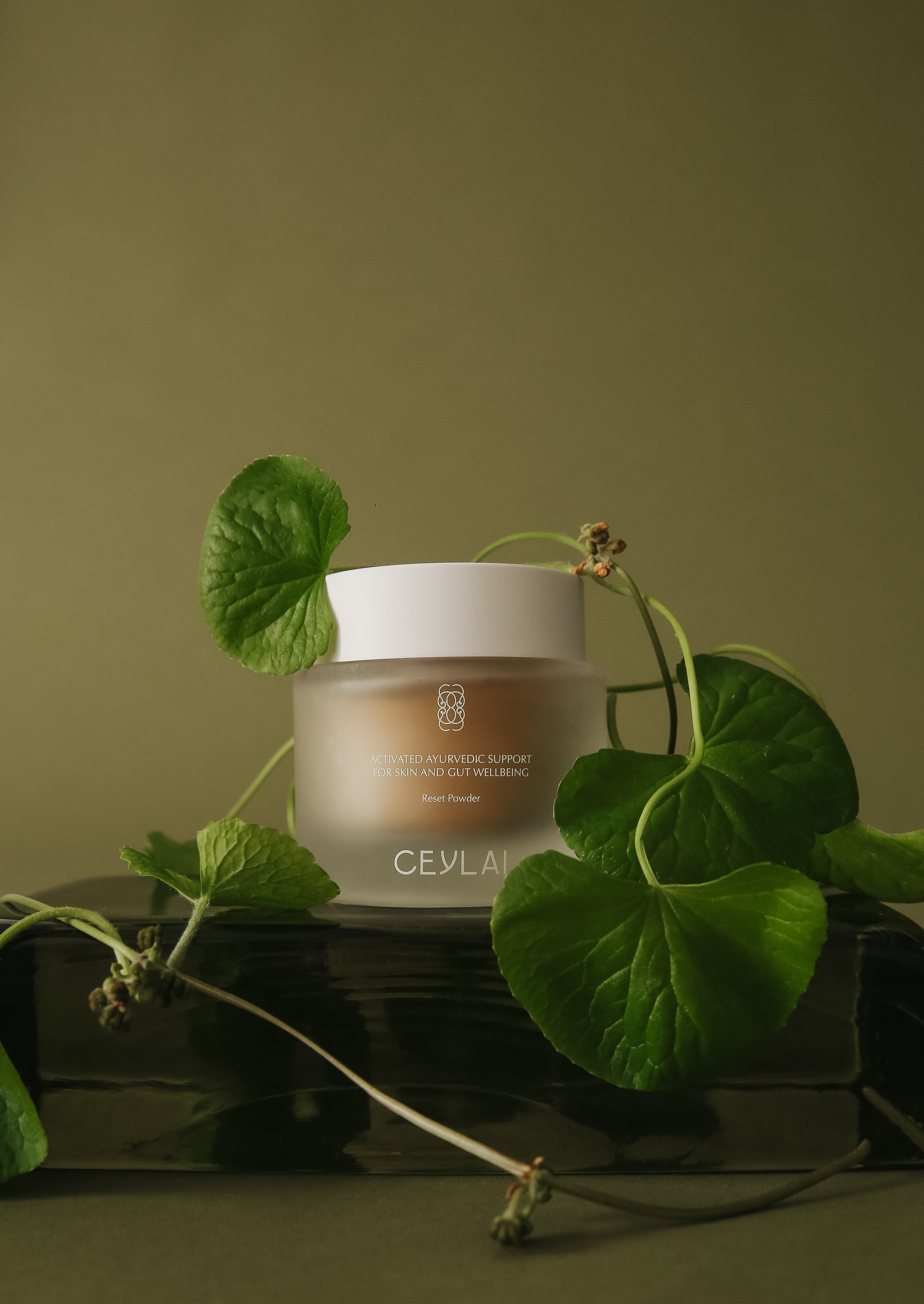 Reset Powder 50g