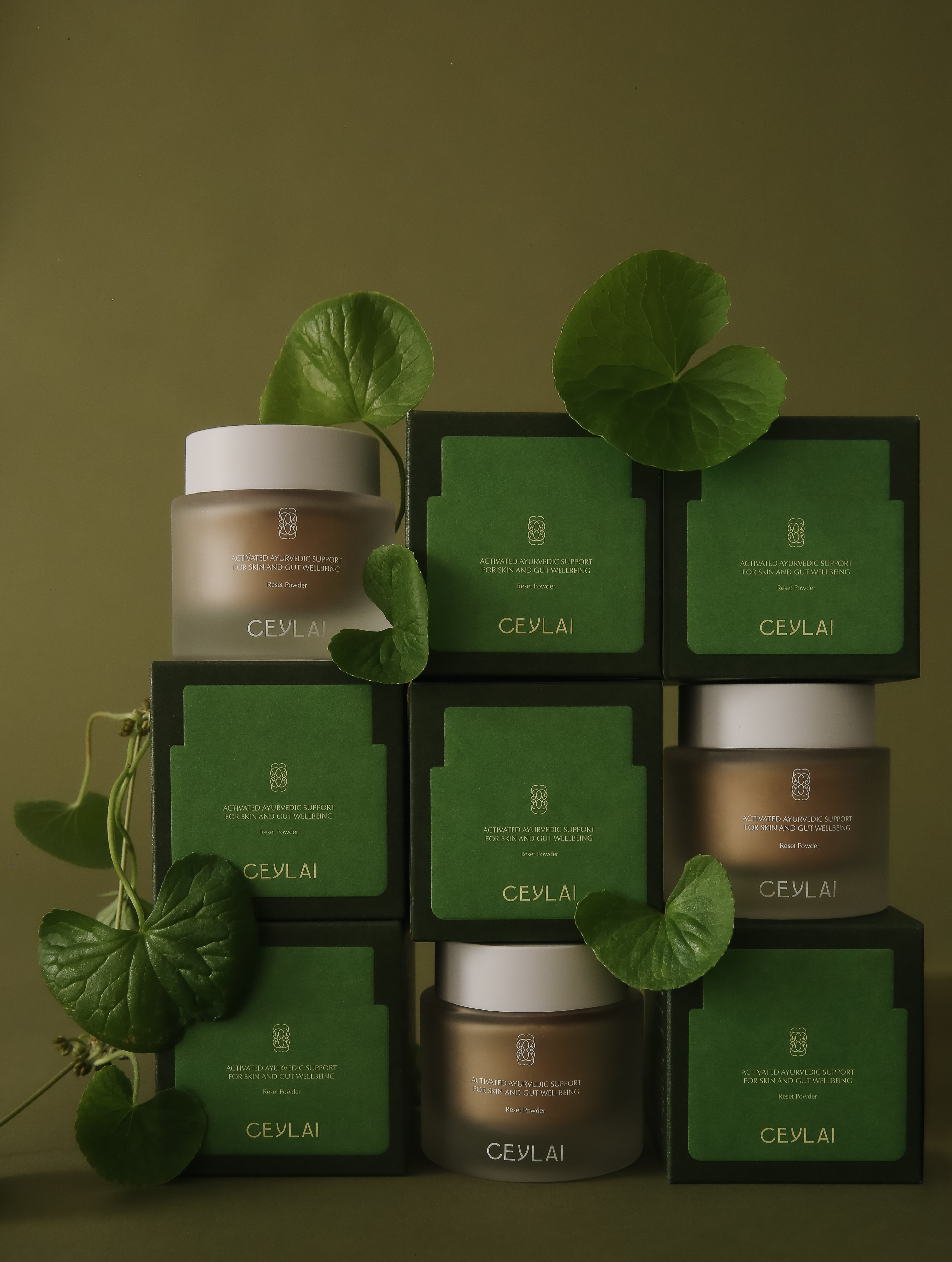 Ceylai skincare products with green leaves on a dark background